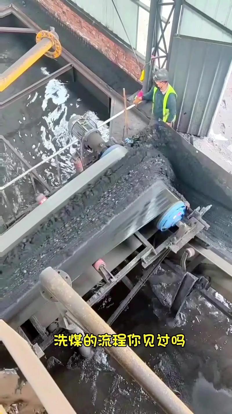 初選環(huán)節(jié) 皮帶機(jī)在選煤設(shè)備中的關(guān)鍵作用